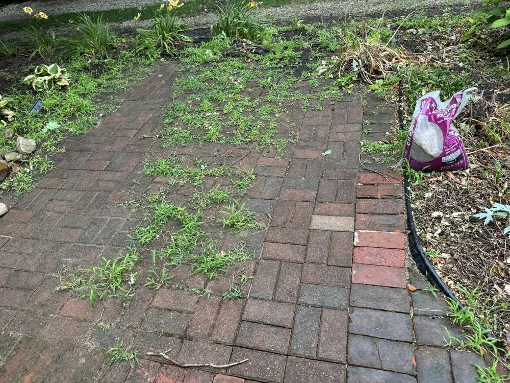 Reliable landscape installation with custom design in Franklin, IN by Crystal Vision