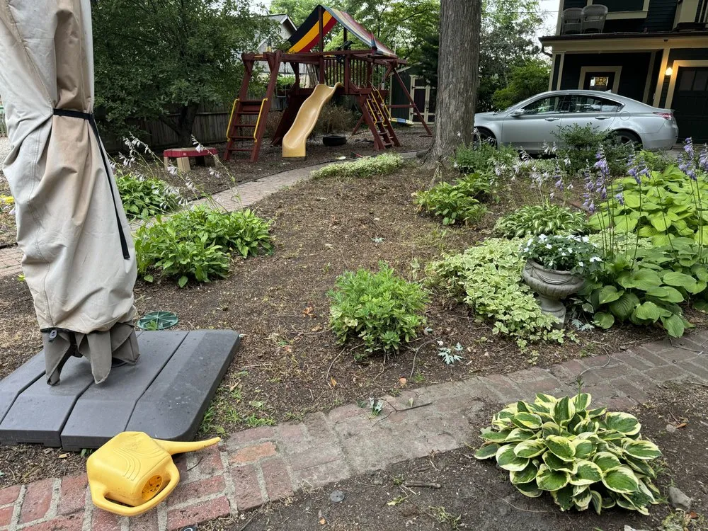 Top-rated yard cleanup service with custom design in Franklin, IN by Crystal Vision