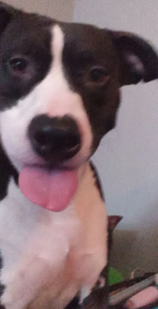 Local outdoor landscaping near you in Ponca City, OK by Crystals Cleaning