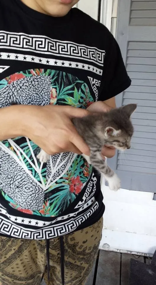 Professional landscape installation in Ponca City, OK by Crystals Cleaning