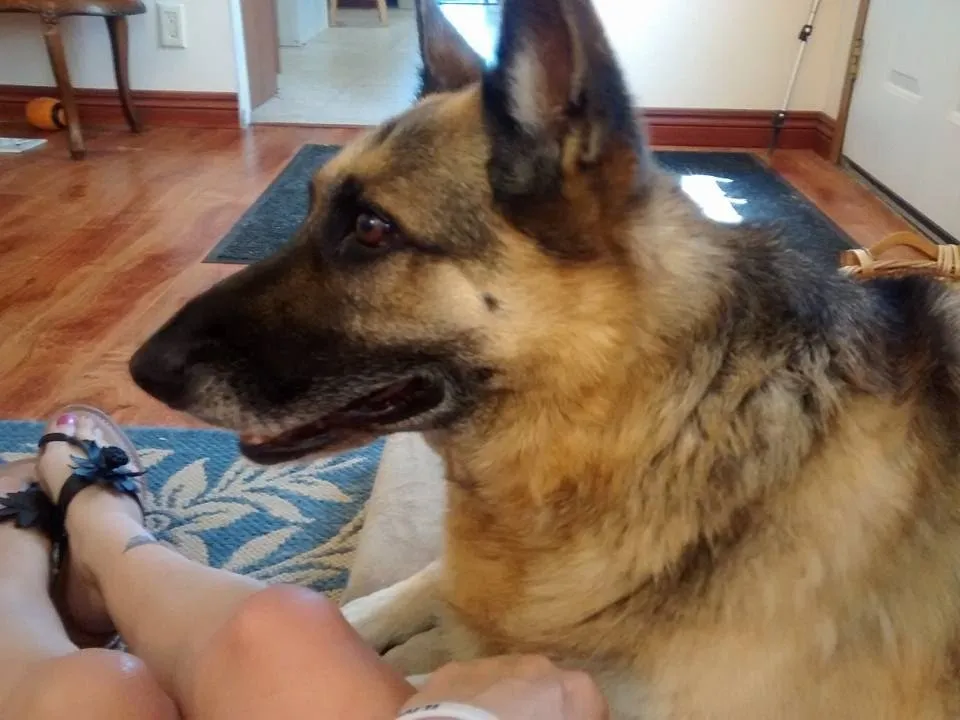 Trusted landscaping services for beautiful yards across Ponca City, OK - Crystals Cleaning