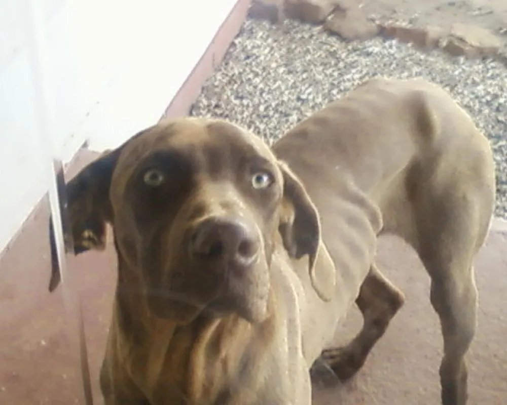 Trusted landscape design in Ponca City, OK by Crystals Cleaning