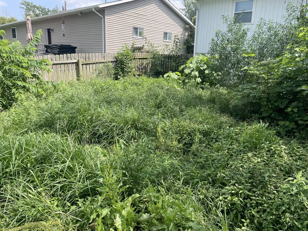 Affordable lawn care service for homes in Quincy, IL by Crystal’s Lawn Care