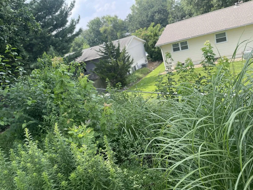 Custom lawn mowing service experts serving Quincy, IL - Crystal’s Lawn Care