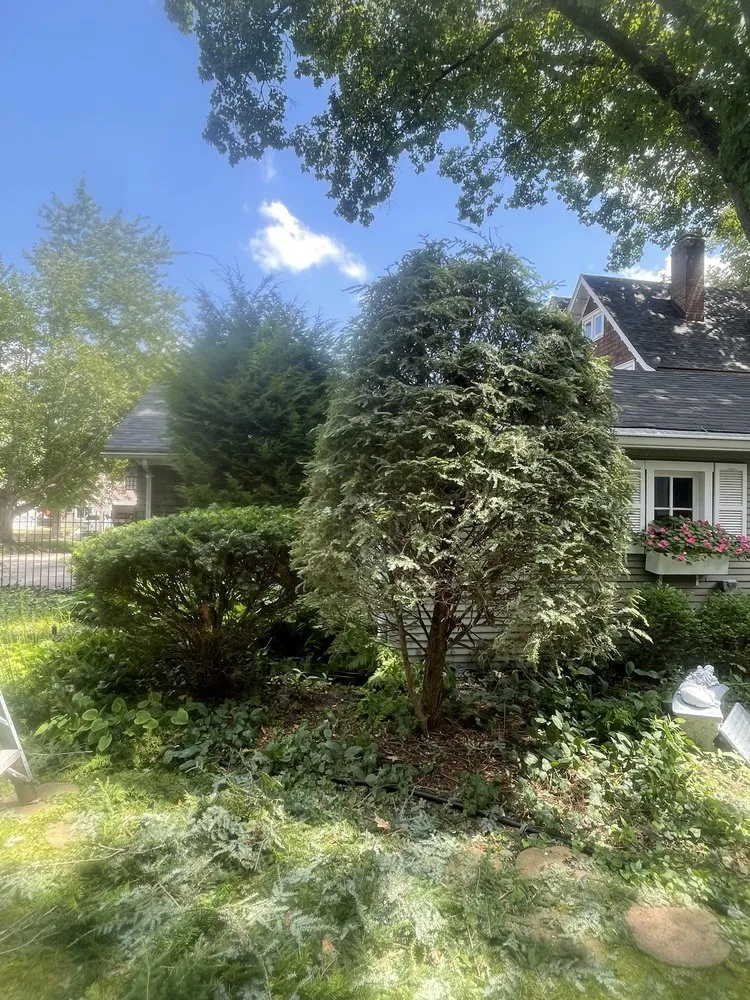 Expert landscaping services for outdoor upgrades in Quincy, IL by Crystal’s Lawn Care