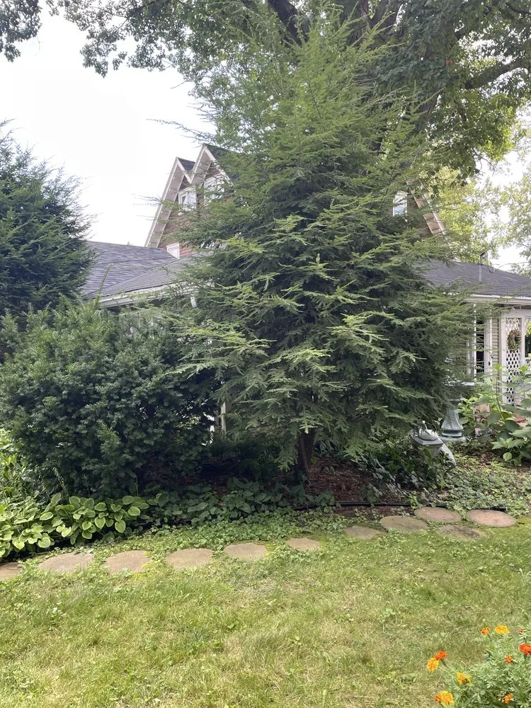 Local landscaping services for year-round maintenance in Quincy, IL by Crystal’s Lawn Care