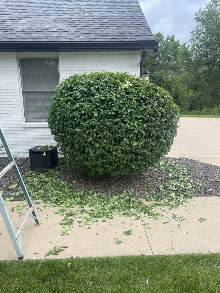 Reliable yard cleanup service in Quincy, IL - Crystal’s Lawn Care