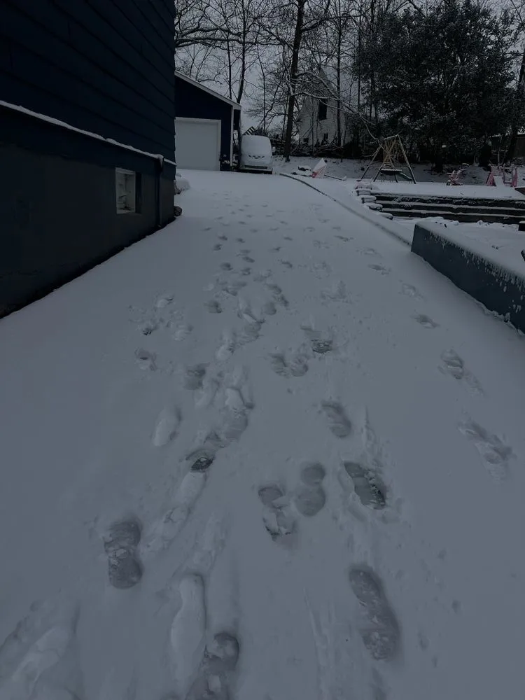 Expert landscape installation experts serving Plainfield, NJ - C’s Advanced