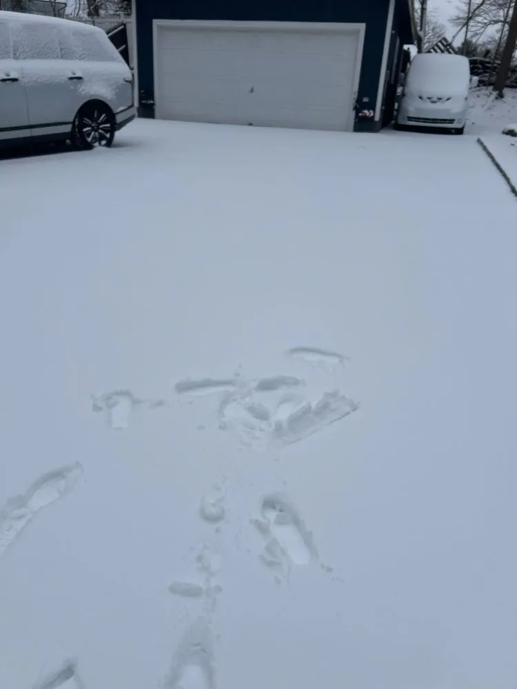 Affordable lawn care service for residential properties in Plainfield, NJ by C’s Advanced