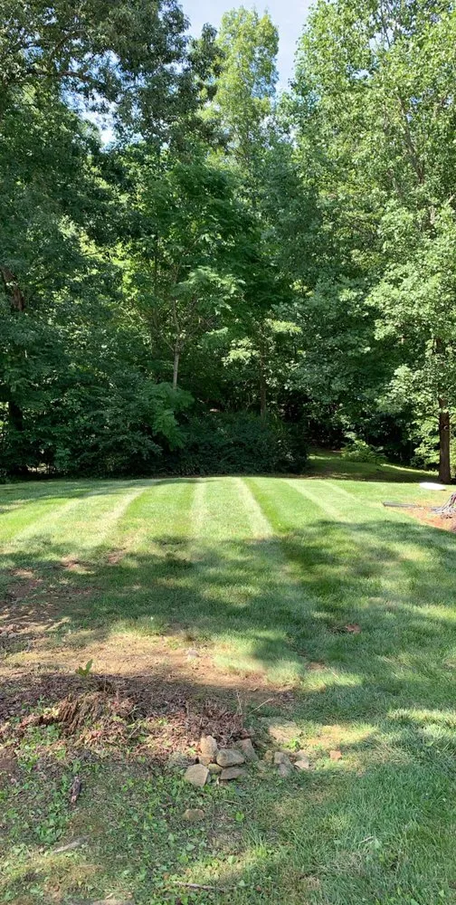 Expert lawn mowing service for year-round maintenance in Greenbrier, TN by CS Earthworks