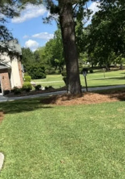 Affordable residential landscaping for residential properties in Augusta, GA by C&S Elite Landscaping