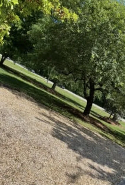 Local residential landscaping experts serving Augusta, GA - C&S Elite Landscaping