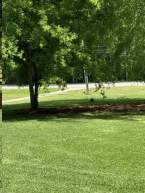 Custom outdoor landscaping experts serving Augusta, GA - C&S Elite Landscaping