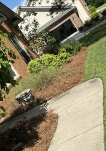 Local landscaping services in Augusta, GA - C&S Elite Landscaping