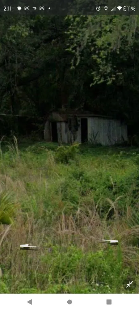 Top-rated landscape installation in Wildwood, FL - C's Empire