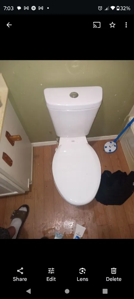 Affordable yard cleanup service in Wildwood, FL - C's Empire