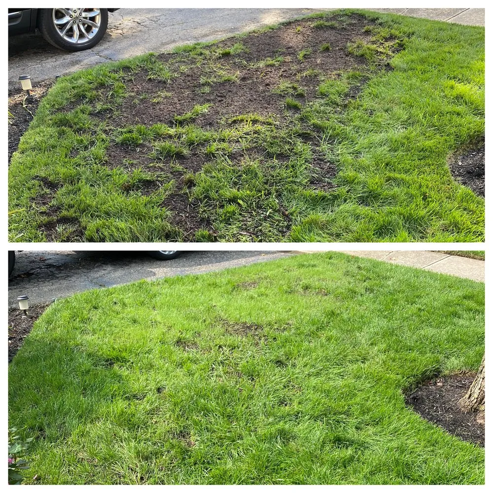 Reliable yard cleanup service for beautiful yards across Tipp City, OH - CS Home Reno