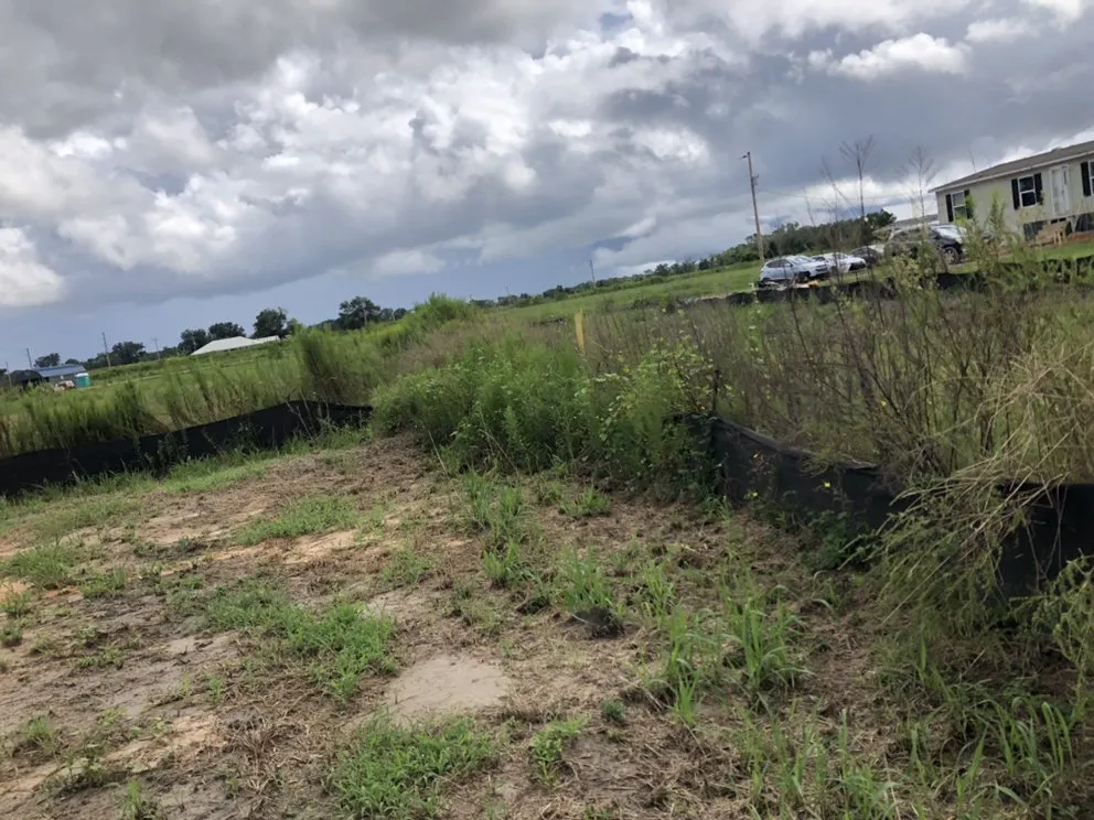 Professional landscaping services for beautiful yards across Daphne, AL - C’s Interior & Exterior Floral Design & Landscape