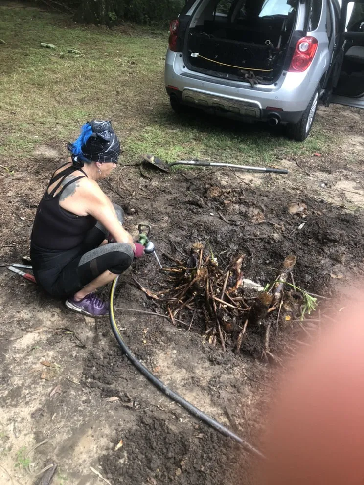 Affordable landscaping services for year-round maintenance in Daphne, AL by C’s Interior & Exterior Floral Design & Landscape