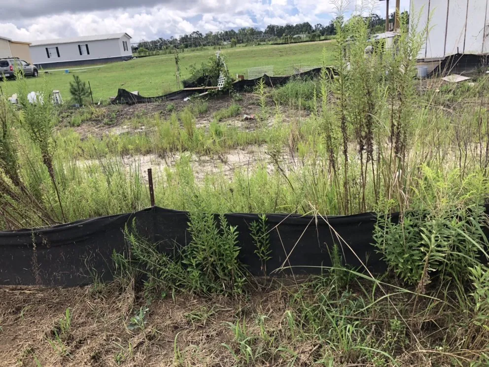 Local garden landscaping in Daphne, AL - C’s Interior & Exterior Floral Design & Landscape