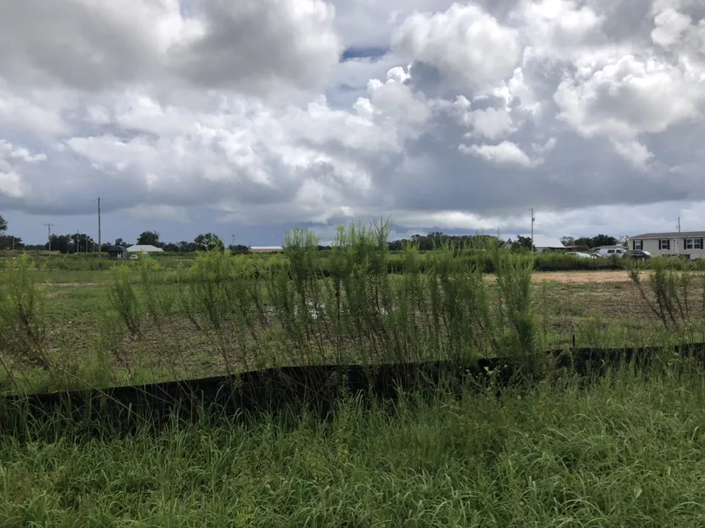 Custom lawn mowing service experts serving Daphne, AL - C’s Interior & Exterior Floral Design & Landscape