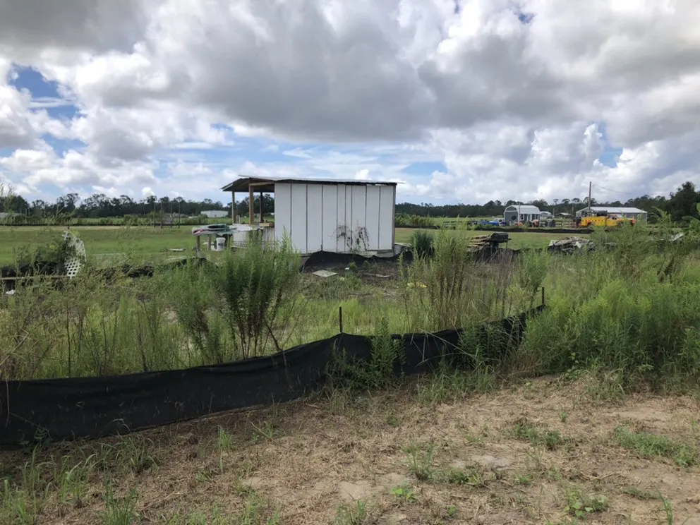 Trusted landscape design experts serving Daphne, AL - C’s Interior & Exterior Floral Design & Landscape