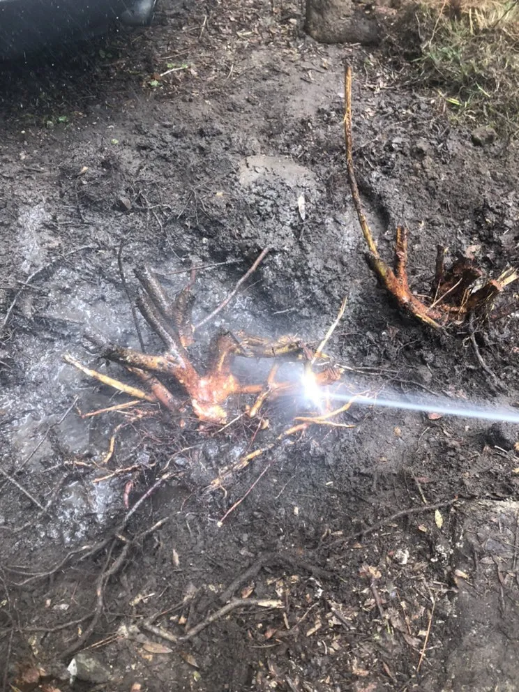 Affordable outdoor landscaping for outdoor upgrades across Daphne, AL - C’s Interior & Exterior Floral Design & Landscape