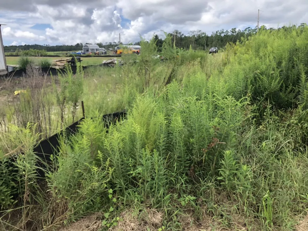 Expert residential landscaping for residential properties across Daphne, AL - C’s Interior & Exterior Floral Design & Landscape