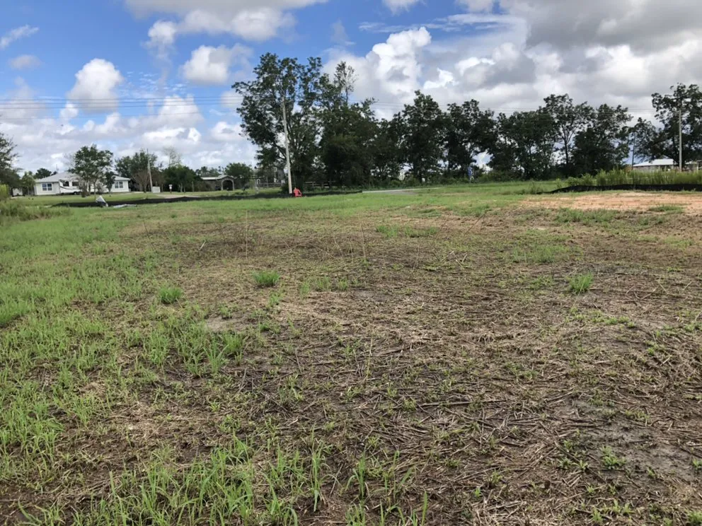 Reliable outdoor landscaping for homes in Daphne, AL by C’s Interior & Exterior Floral Design & Landscape