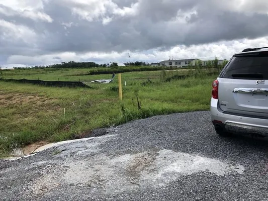 C’s Interior & Exterior Floral Design & Landscape Logo