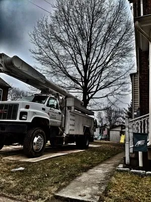 CS Kalb Tree & Landscape