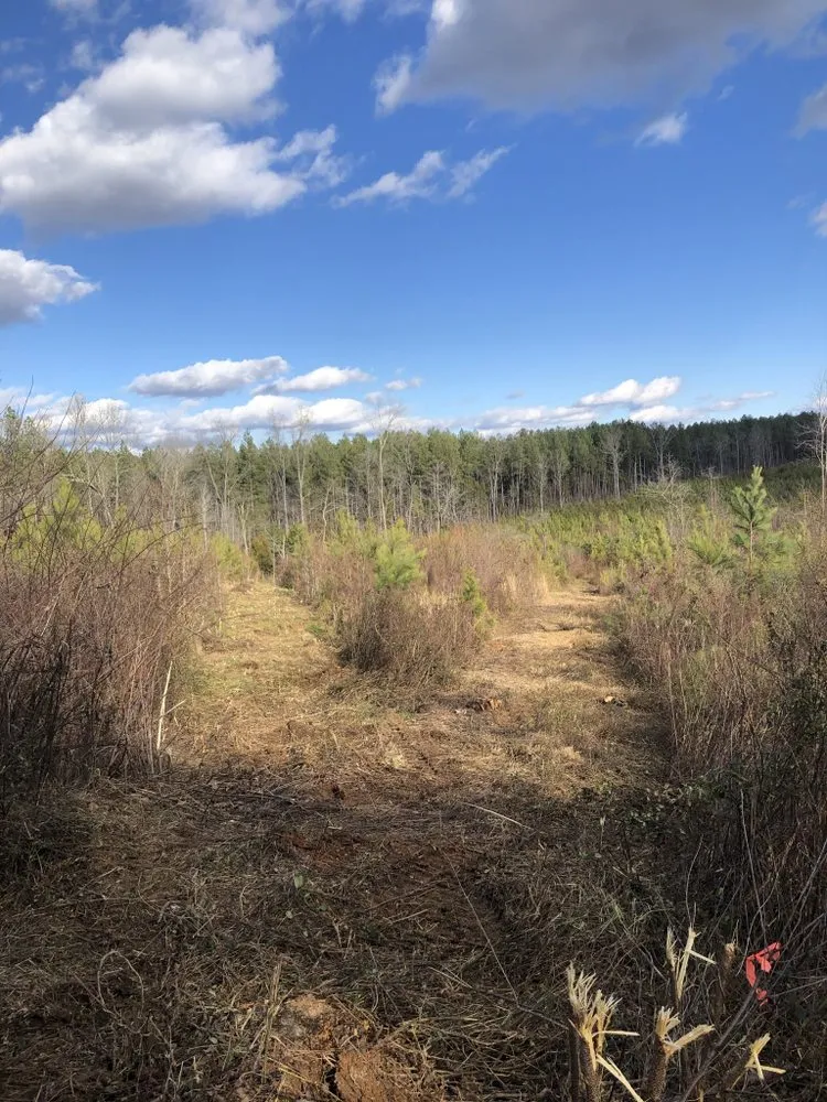 Expert lawn mowing service in Rockwell, NC by CS Land Clearing
