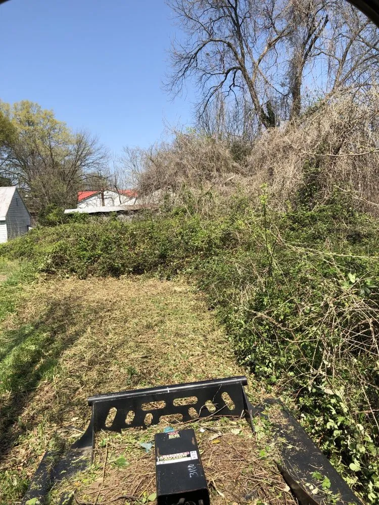 Custom landscaping services in Rockwell, NC - CS Land Clearing