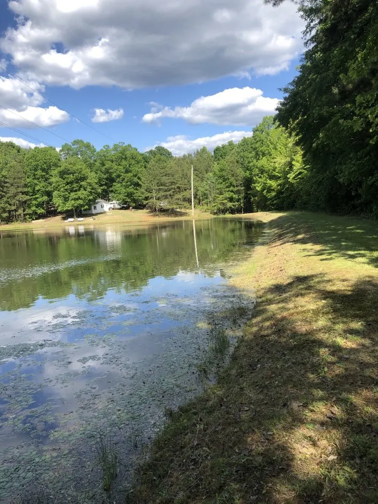 Trusted residential landscaping in Rockwell, NC by CS Land Clearing