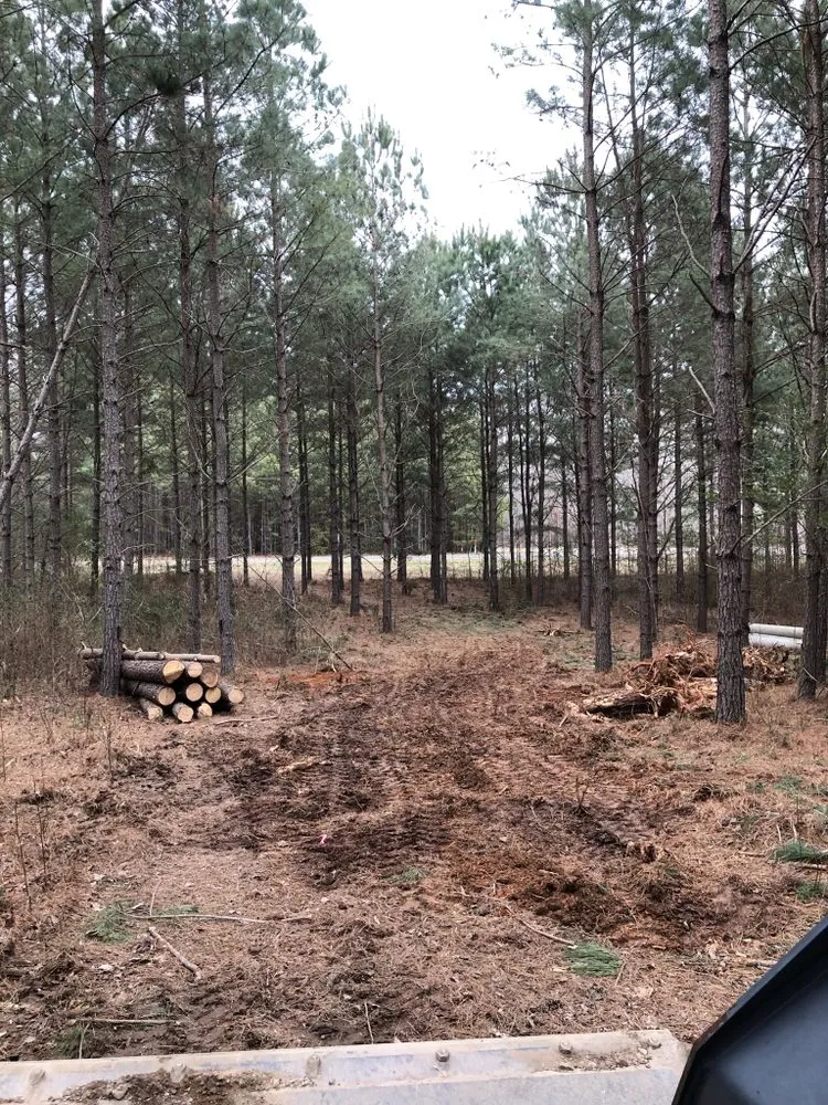 Professional landscape installation for outdoor upgrades in Rockwell, NC by CS Land Clearing