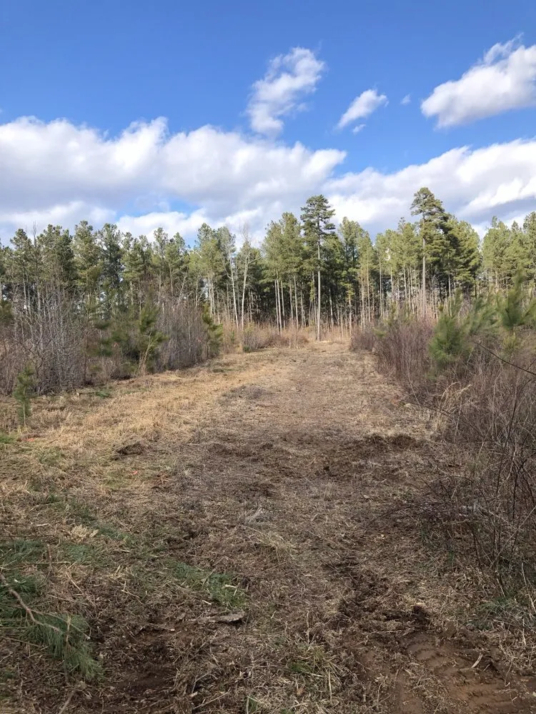 Top-rated yard cleanup service in Rockwell, NC - CS Land Clearing