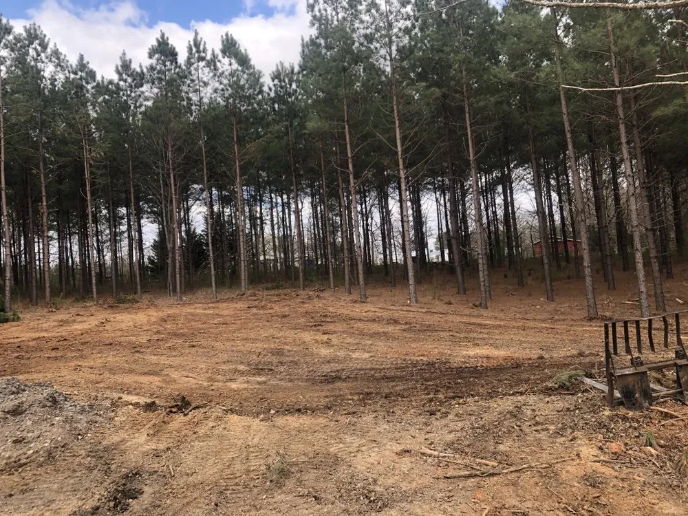 Top-rated lawn care service near you across Rockwell, NC - CS Land Clearing