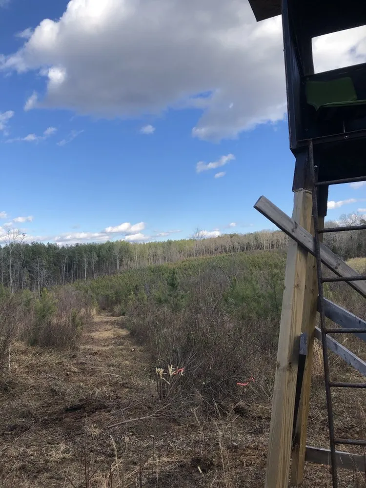 Expert residential landscaping for year-round maintenance across Rockwell, NC - CS Land Clearing