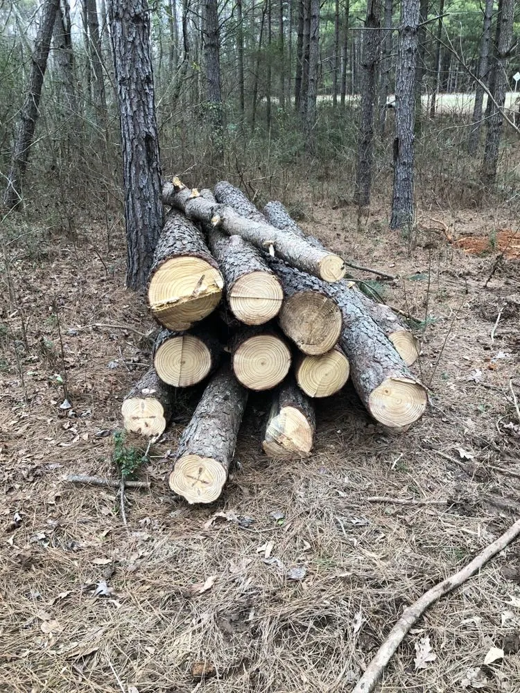 Expert outdoor landscaping in Rockwell, NC - CS Land Clearing