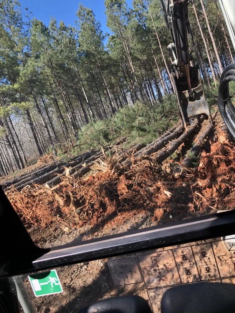 Local landscape design for residential properties in Rockwell, NC by CS Land Clearing