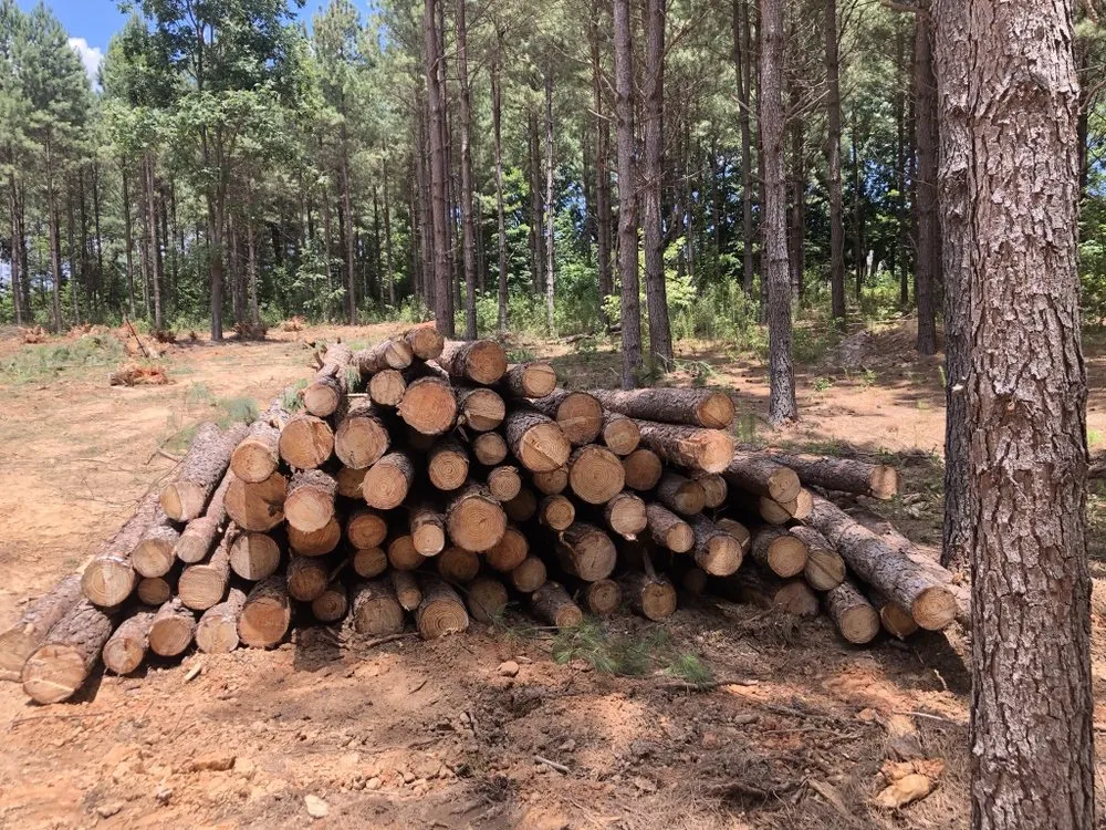 Top-rated residential landscaping in Rockwell, NC - CS Land Clearing