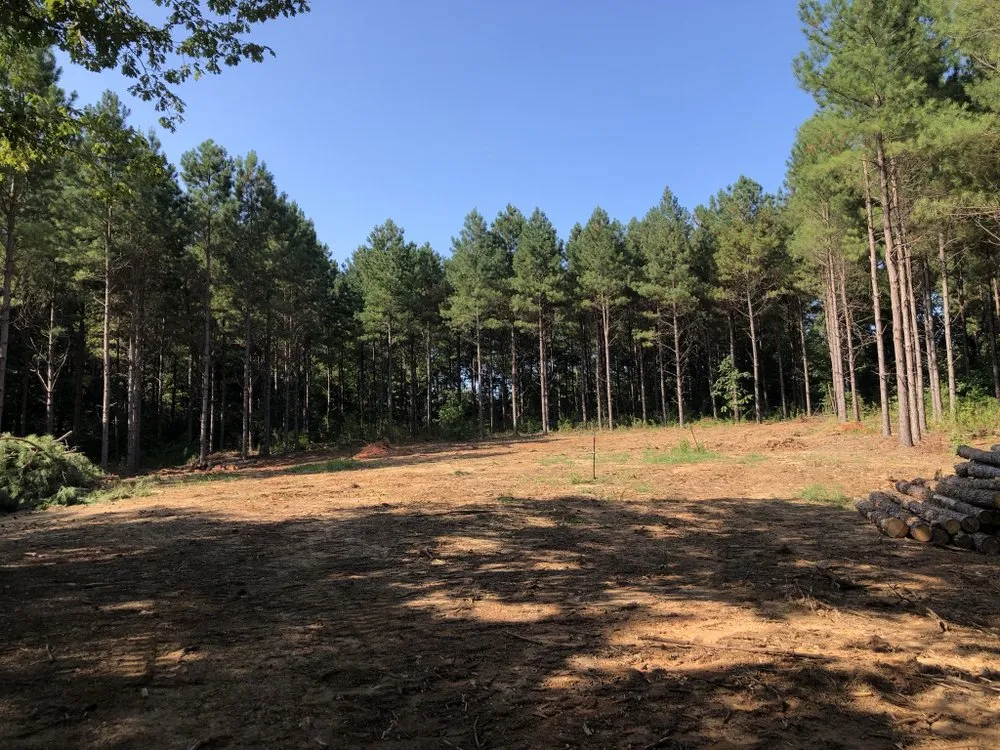 Local yard maintenance experts serving Rockwell, NC - CS Land Clearing