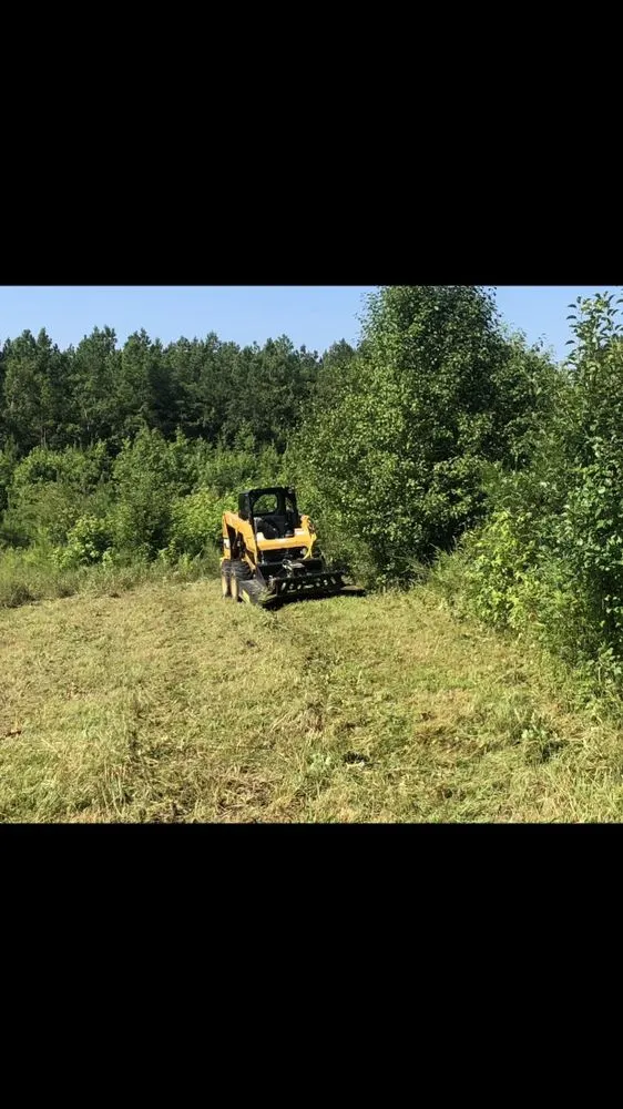 Custom landscape installation for outdoor upgrades across Rockwell, NC - CS Land Clearing