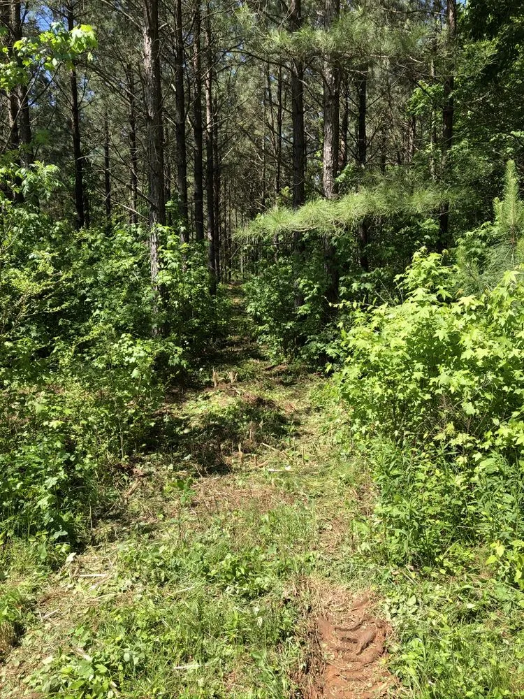 Trusted outdoor landscaping experts serving Rockwell, NC - CS Land Clearing