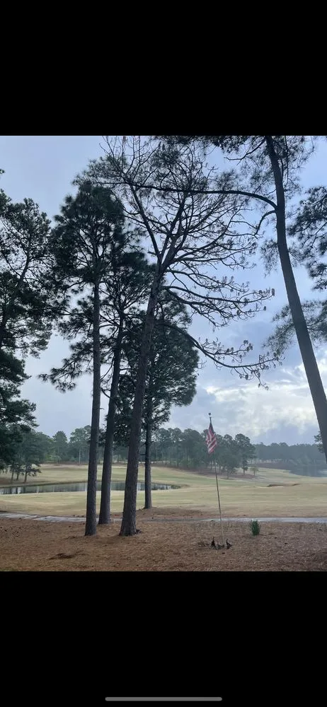 Reliable yard maintenance experts serving Carthage, NC - C&S Land Management