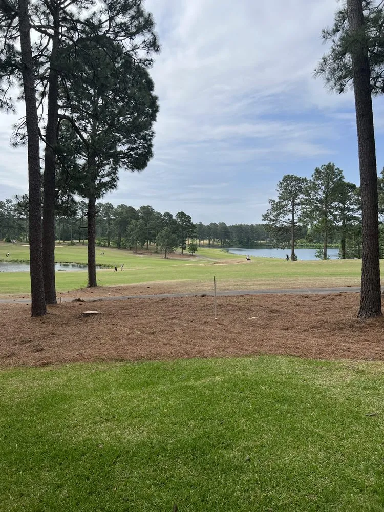 Affordable outdoor landscaping in Carthage, NC by C&S Land Management