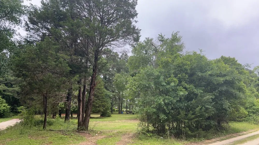 Trusted landscape installation for outdoor upgrades across Carthage, NC - C&S Land Management