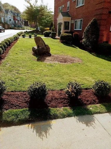 Reliable yard maintenance in Oakdale, PA - CS Landcare