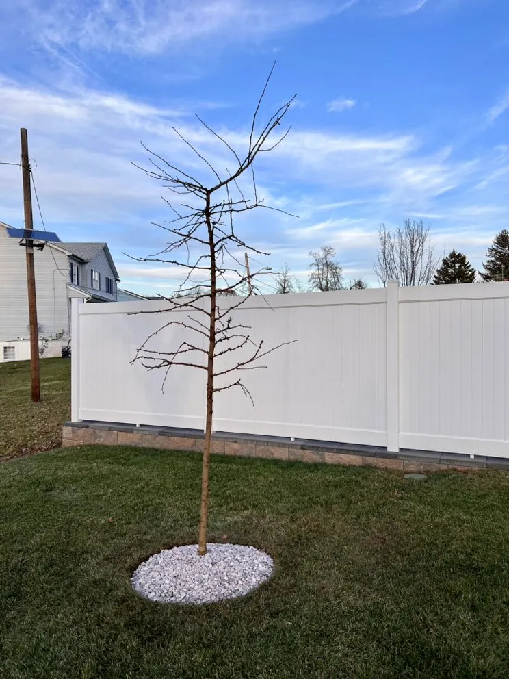 Top-rated garden landscaping near you in Somerset, NJ by C&S Landscape & Construction