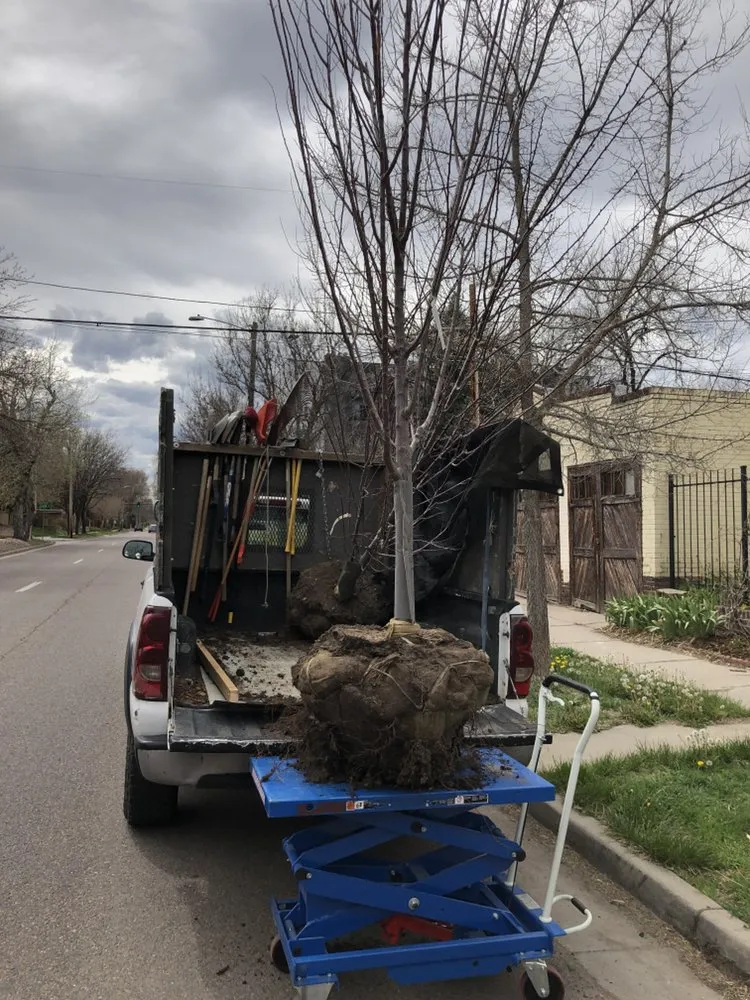 Trusted lawn mowing service for beautiful yards in Denver, CO by CS Landscape & Design